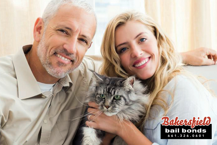 Taft Bail Bonds