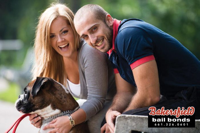 Call Bakersfield Bail Bonds now and see how helpful our bail agents can be. Bakersfield Bail Bonds