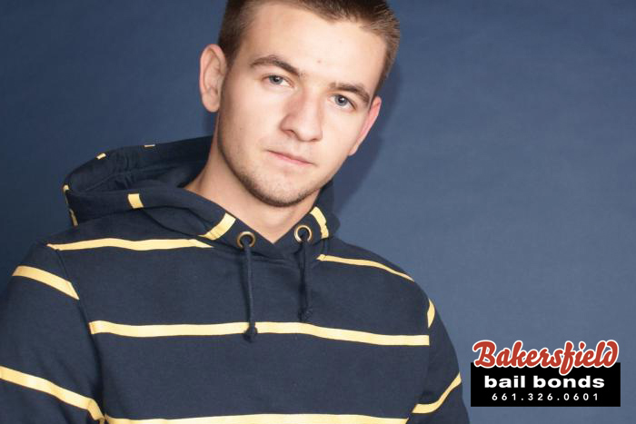 Wible Orchard Bail Bonds