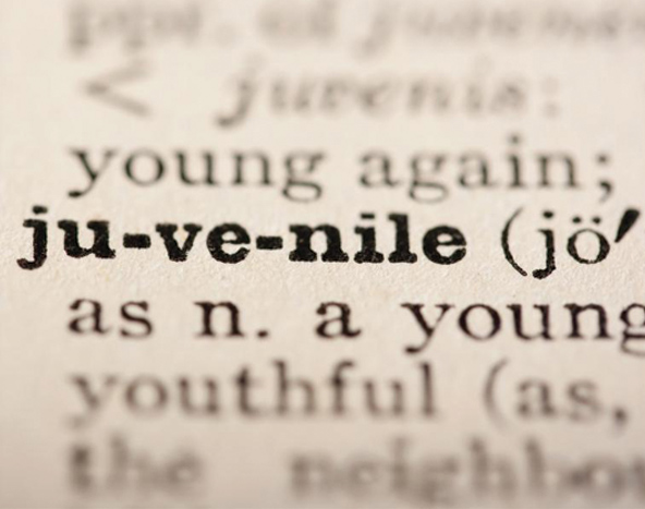 About-Juvenile-Records