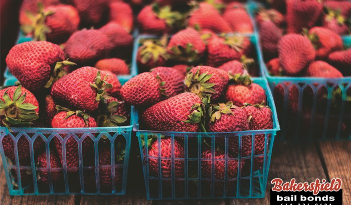 A Strawberry Catch