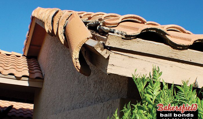 California Earthquake Survival Tips