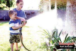 Watering Your California Lawn