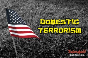 Domestic Terrorism